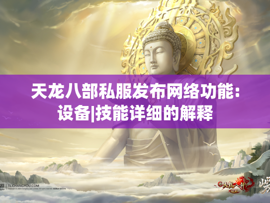 天龙八部私服发布网络功能:设备|技能详细的解释  第1张